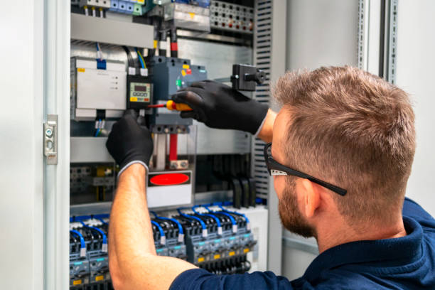 Best Electric Panel Repair  in Lynwood, IL