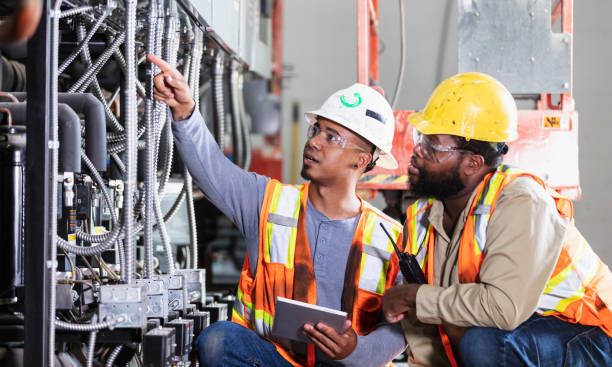 Best Affordable Electrician  in Lynwood, IL