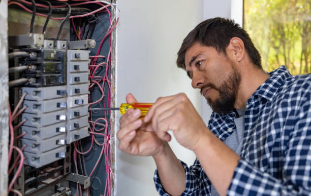 Best Ceiling Fan Installation Electrician  in Lynwood, IL